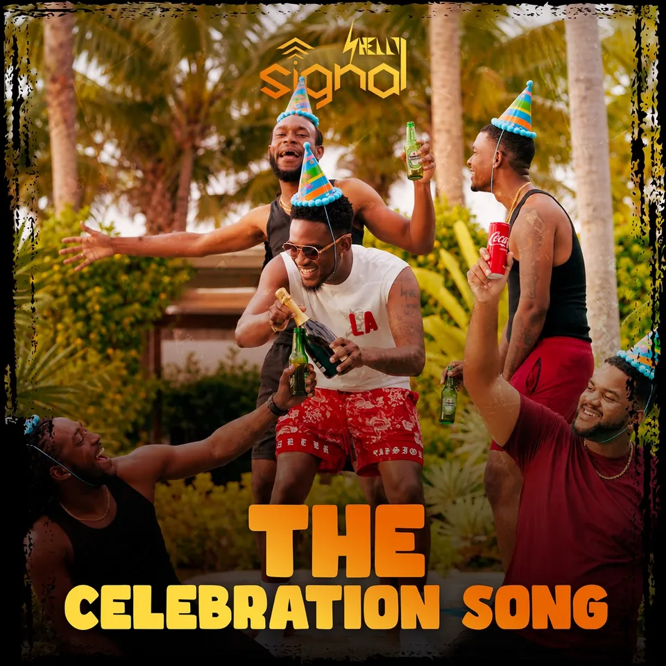 Pochette de THE Celebration Song